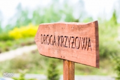 droga-krzyzowa-przeprosna-gorka-0-02