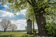 przeprosna-gorka-2019-05