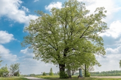 przeprosna-gorka-2019-07