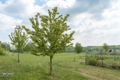 przeprosna-gorka-2019-12